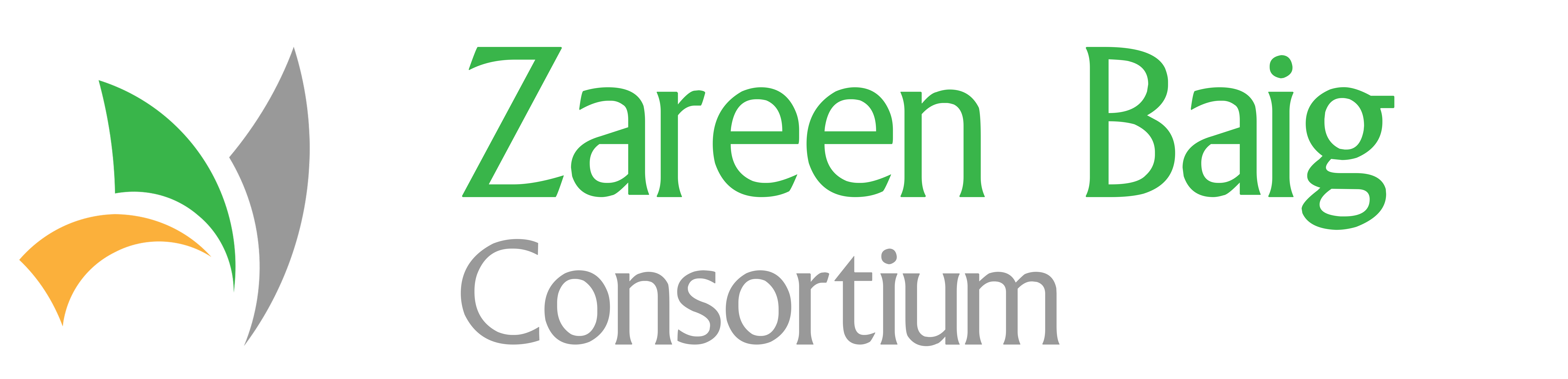 Zareen Baig Consortium Site